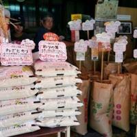 Japan inflation slows in August, rice price surges ease | National
