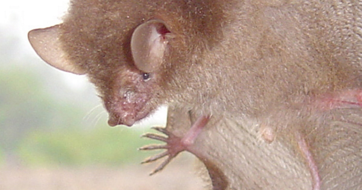 <br />
<b>Warning</b>:  Undefined variable $myimgalt in <b>/www/wwwroot/awdailynews.cn/wp-content/themes/ennews001/single.php</b> on line <b>213</b><br />
