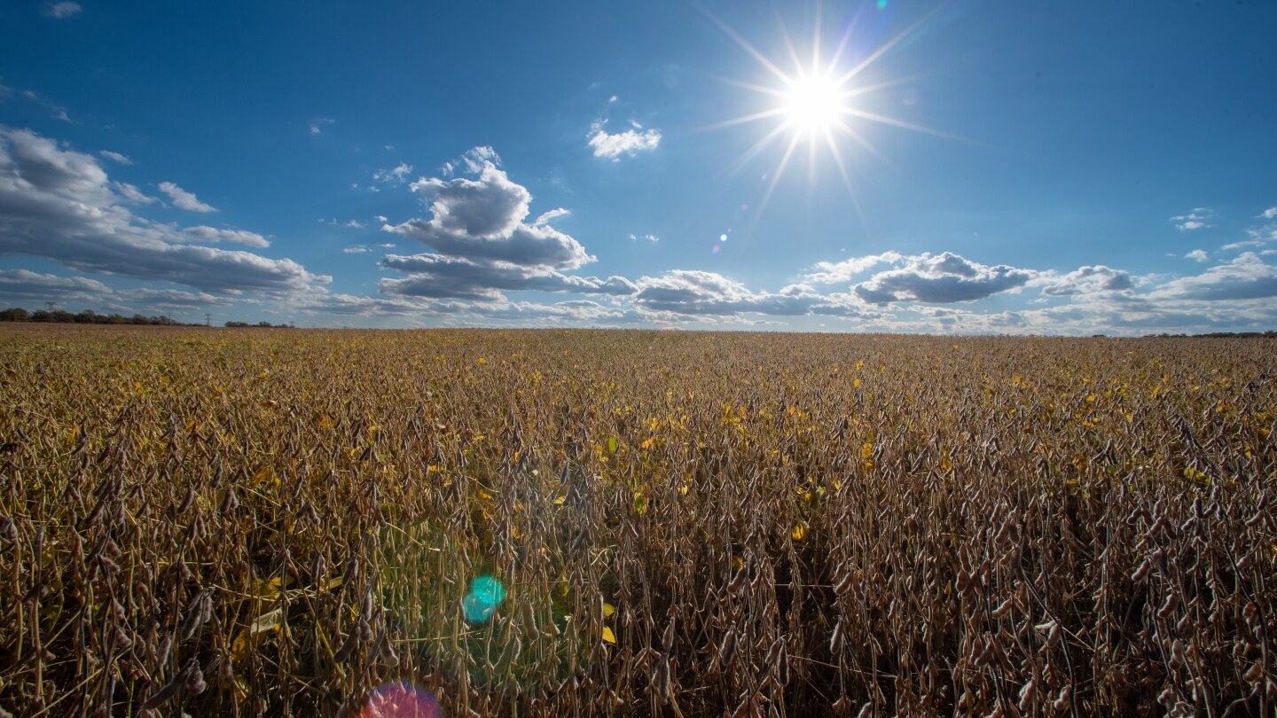 <br />
<b>Warning</b>:  Undefined variable $myimgalt in <b>/www/wwwroot/awdailynews.cn/wp-content/themes/ennews001/single.php</b> on line <b>213</b><br />
