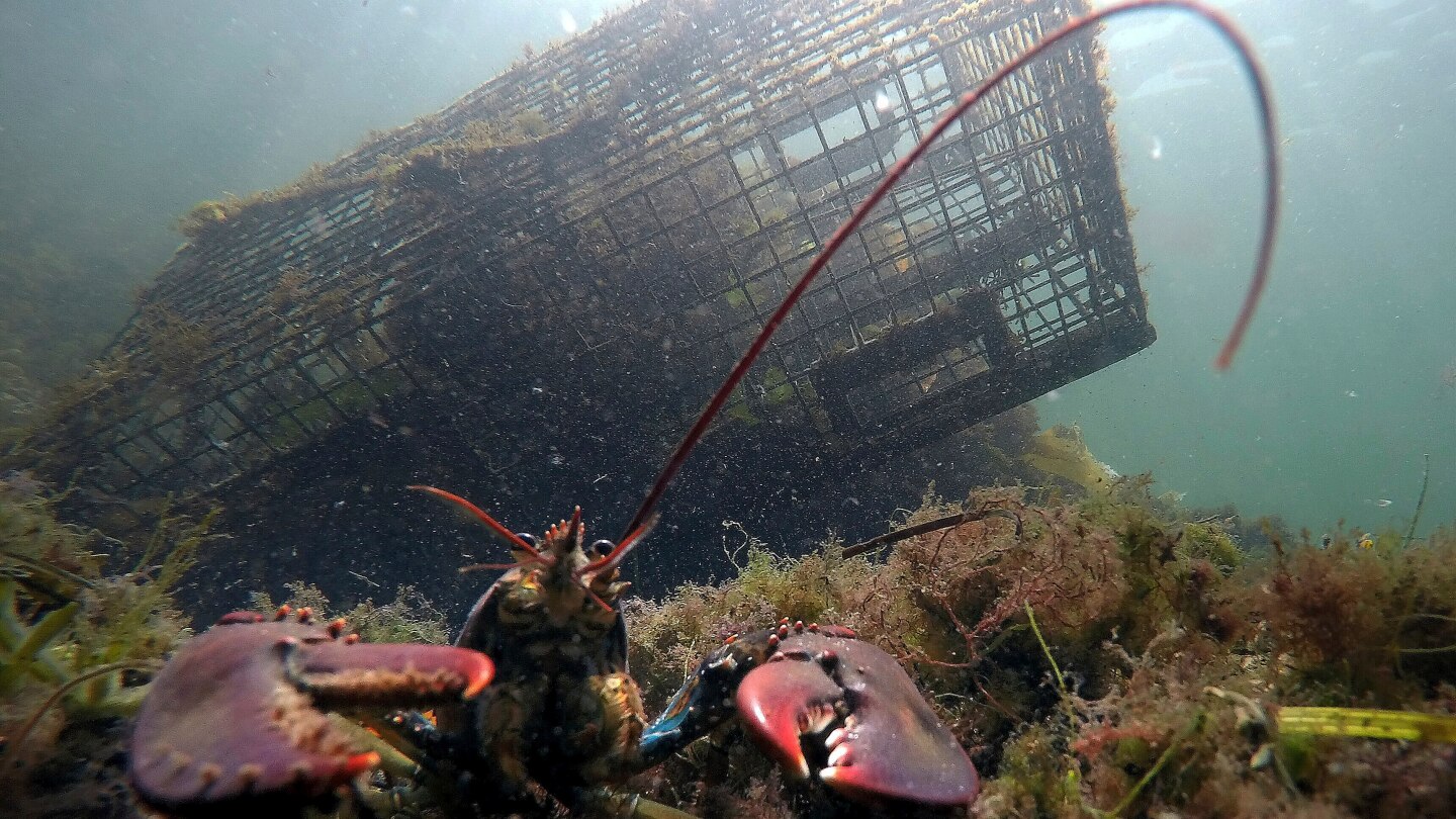 <br />
<b>Warning</b>:  Undefined variable $myimgalt in <b>/www/wwwroot/awdailynews.cn/wp-content/themes/ennews001/single.php</b> on line <b>213</b><br />
