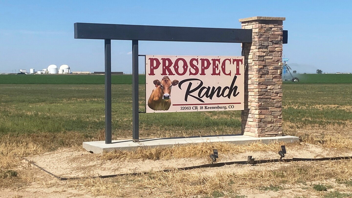 <br />
<b>Warning</b>:  Undefined variable $myimgalt in <b>/www/wwwroot/awdailynews.cn/wp-content/themes/ennews001/single.php</b> on line <b>213</b><br />
