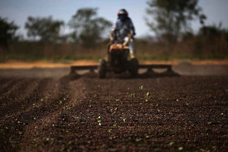 <br />
<b>Warning</b>:  Undefined variable $myimgalt in <b>/www/wwwroot/awdailynews.cn/wp-content/themes/ennews001/single.php</b> on line <b>213</b><br />
