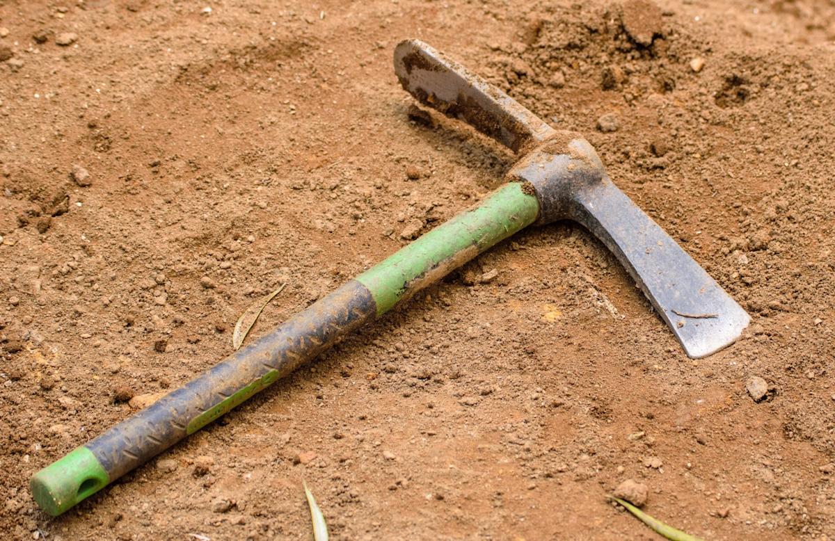 <br />
<b>Warning</b>:  Undefined variable $myimgalt in <b>/www/wwwroot/awdailynews.cn/wp-content/themes/ennews001/single.php</b> on line <b>213</b><br />
