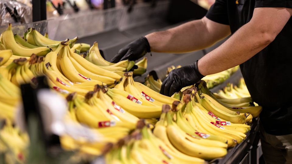 <br />
<b>Warning</b>:  Undefined variable $myimgalt in <b>/www/wwwroot/awdailynews.cn/wp-content/themes/ennews001/single.php</b> on line <b>213</b><br />
