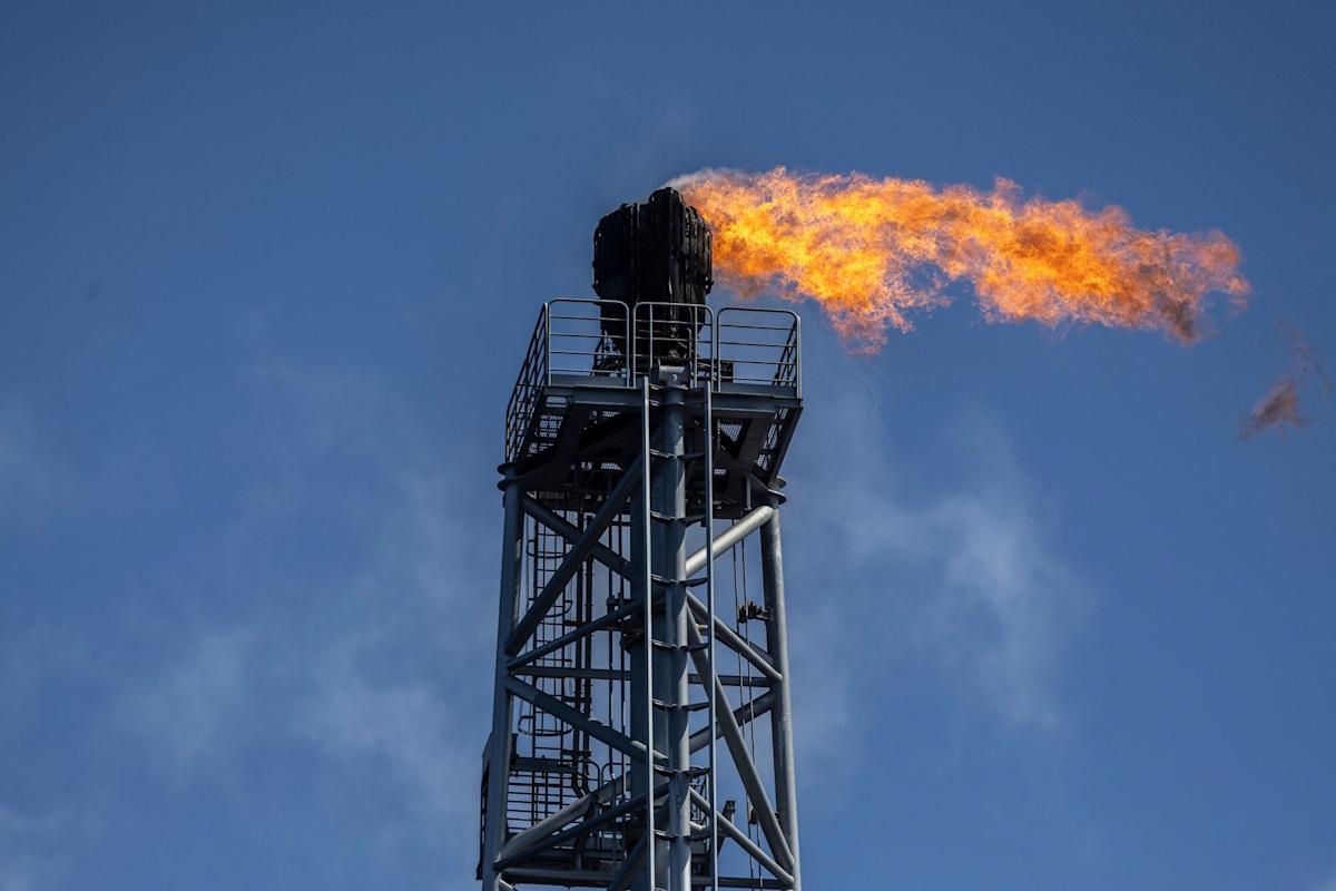 <br />
<b>Warning</b>:  Undefined variable $myimgalt in <b>/www/wwwroot/awdailynews.cn/wp-content/themes/ennews001/single.php</b> on line <b>213</b><br />
