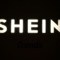 <br />
<b>Warning</b>:  Undefined variable $myimgalt in <b>/www/wwwroot/awdailynews.cn/wp-content/themes/ennews001/single.php</b> on line <b>213</b><br />
