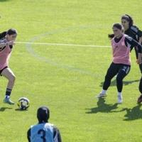 <br />
<b>Warning</b>:  Undefined variable $myimgalt in <b>/www/wwwroot/awdailynews.cn/wp-content/themes/ennews001/single.php</b> on line <b>213</b><br />
