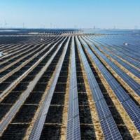 <br />
<b>Warning</b>:  Undefined variable $myimgalt in <b>/www/wwwroot/awdailynews.cn/wp-content/themes/ennews001/single.php</b> on line <b>213</b><br />
