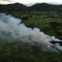 <br />
<b>Warning</b>:  Undefined variable $myimgalt in <b>/www/wwwroot/awdailynews.cn/wp-content/themes/ennews001/single.php</b> on line <b>213</b><br />
