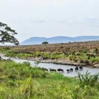 <br />
<b>Warning</b>:  Undefined variable $myimgalt in <b>/www/wwwroot/awdailynews.cn/wp-content/themes/ennews001/single.php</b> on line <b>213</b><br />
