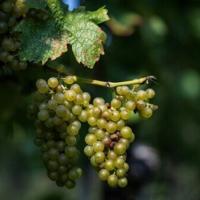 <br />
<b>Warning</b>:  Undefined variable $myimgalt in <b>/www/wwwroot/awdailynews.cn/wp-content/themes/ennews001/single.php</b> on line <b>213</b><br />
