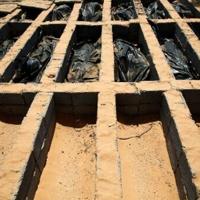 <br />
<b>Warning</b>:  Undefined variable $myimgalt in <b>/www/wwwroot/awdailynews.cn/wp-content/themes/ennews001/single.php</b> on line <b>213</b><br />
