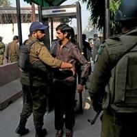 <br />
<b>Warning</b>:  Undefined variable $myimgalt in <b>/www/wwwroot/awdailynews.cn/wp-content/themes/ennews001/single.php</b> on line <b>213</b><br />
