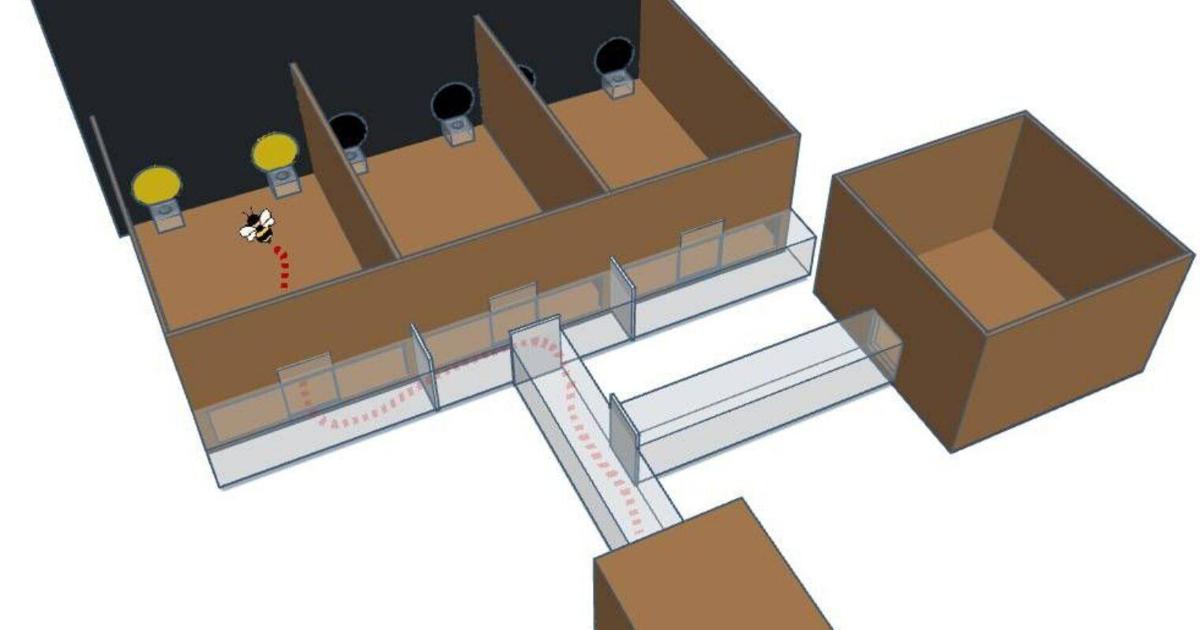 <br />
<b>Warning</b>:  Undefined variable $myimgalt in <b>/www/wwwroot/awdailynews.cn/wp-content/themes/ennews001/single.php</b> on line <b>213</b><br />
