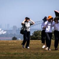 <br />
<b>Warning</b>:  Undefined variable $myimgalt in <b>/www/wwwroot/awdailynews.cn/wp-content/themes/ennews001/single.php</b> on line <b>213</b><br />
