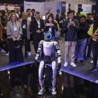 <br />
<b>Warning</b>:  Undefined variable $myimgalt in <b>/www/wwwroot/awdailynews.cn/wp-content/themes/ennews001/single.php</b> on line <b>213</b><br />
