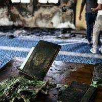 <br />
<b>Warning</b>:  Undefined variable $myimgalt in <b>/www/wwwroot/awdailynews.cn/wp-content/themes/ennews001/single.php</b> on line <b>213</b><br />
