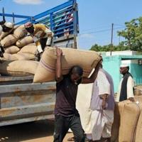 <br />
<b>Warning</b>:  Undefined variable $myimgalt in <b>/www/wwwroot/awdailynews.cn/wp-content/themes/ennews001/single.php</b> on line <b>213</b><br />
