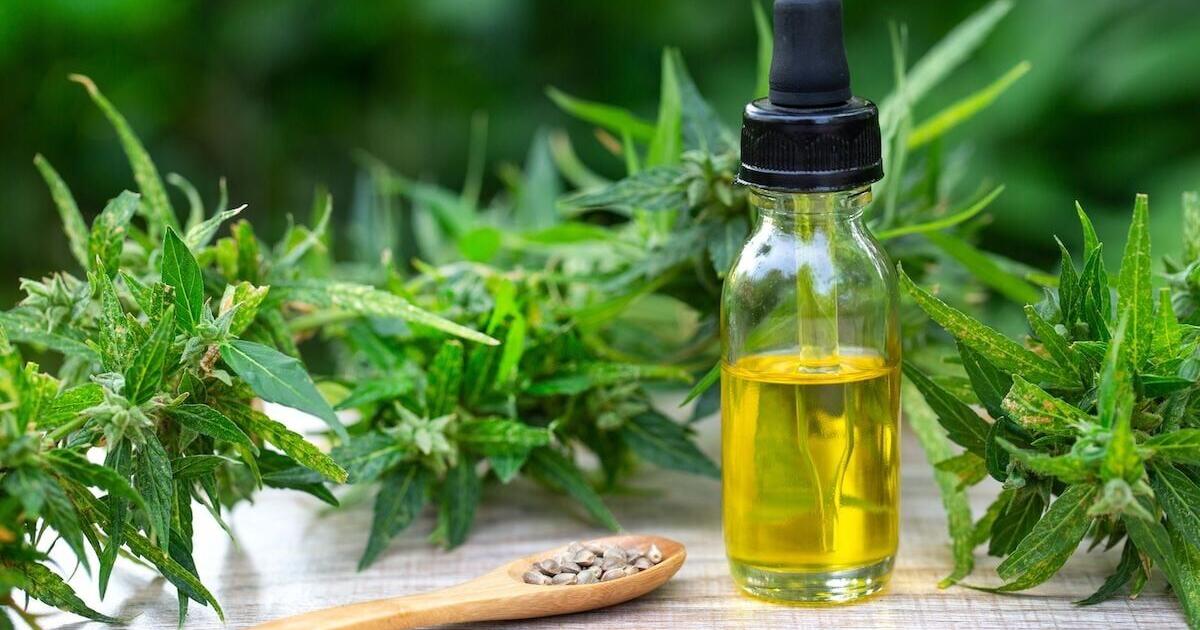 <br />
<b>Warning</b>:  Undefined variable $myimgalt in <b>/www/wwwroot/awdailynews.cn/wp-content/themes/ennews001/single.php</b> on line <b>213</b><br />
