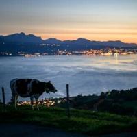 <br />
<b>Warning</b>:  Undefined variable $myimgalt in <b>/www/wwwroot/awdailynews.cn/wp-content/themes/ennews001/single.php</b> on line <b>213</b><br />
