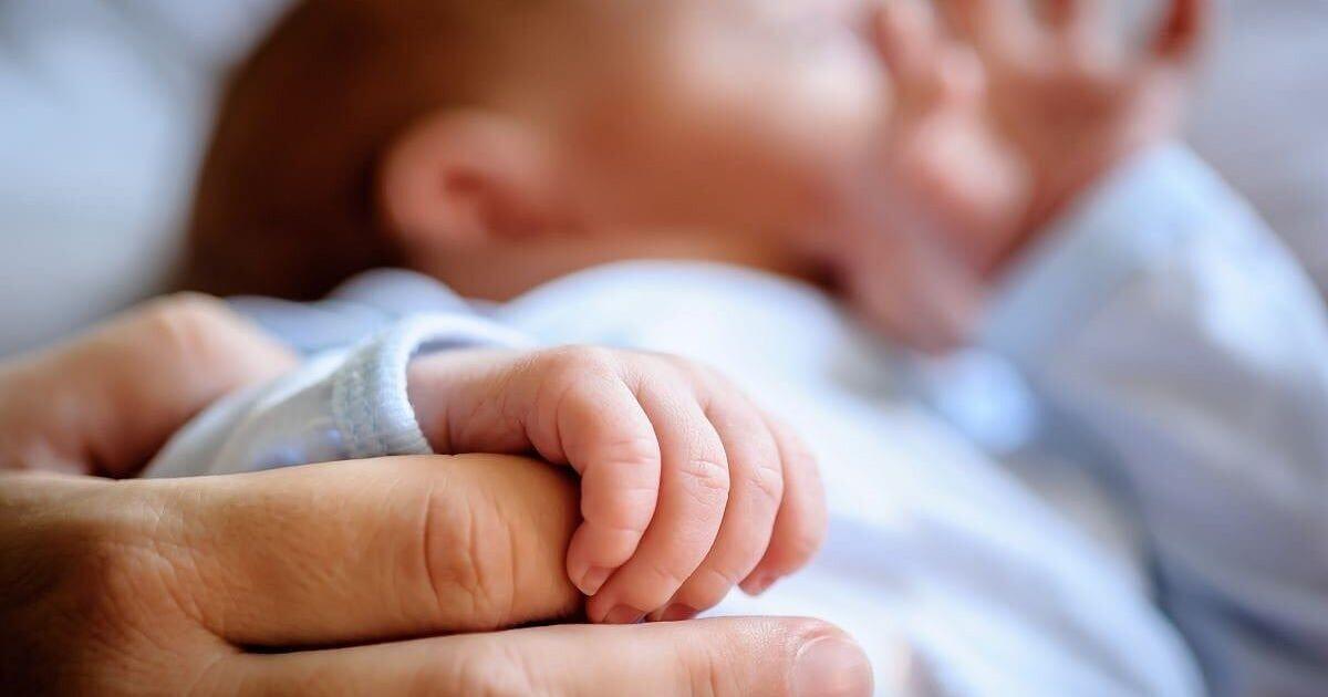 <br />
<b>Warning</b>:  Undefined variable $myimgalt in <b>/www/wwwroot/awdailynews.cn/wp-content/themes/ennews001/single.php</b> on line <b>213</b><br />
