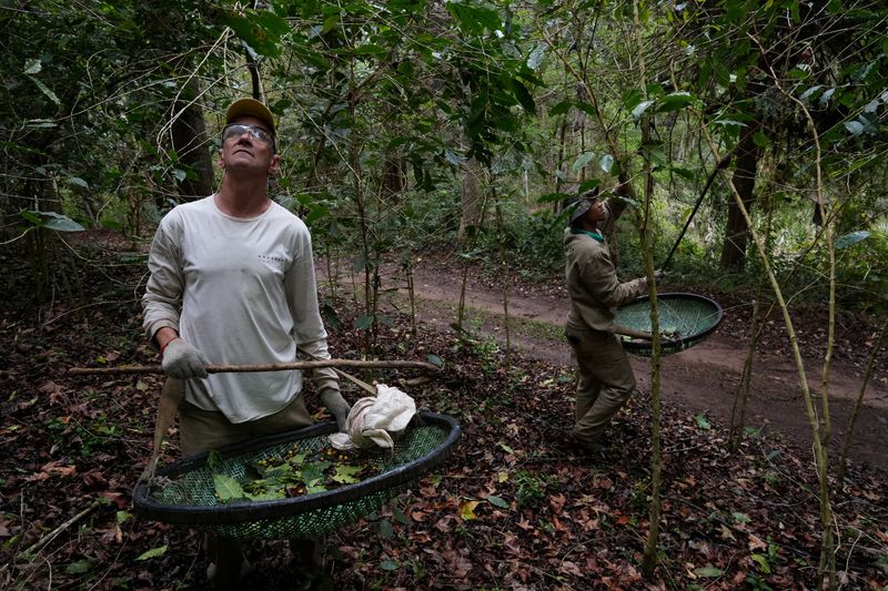 <br />
<b>Warning</b>:  Undefined variable $myimgalt in <b>/www/wwwroot/awdailynews.cn/wp-content/themes/ennews001/single.php</b> on line <b>213</b><br />
