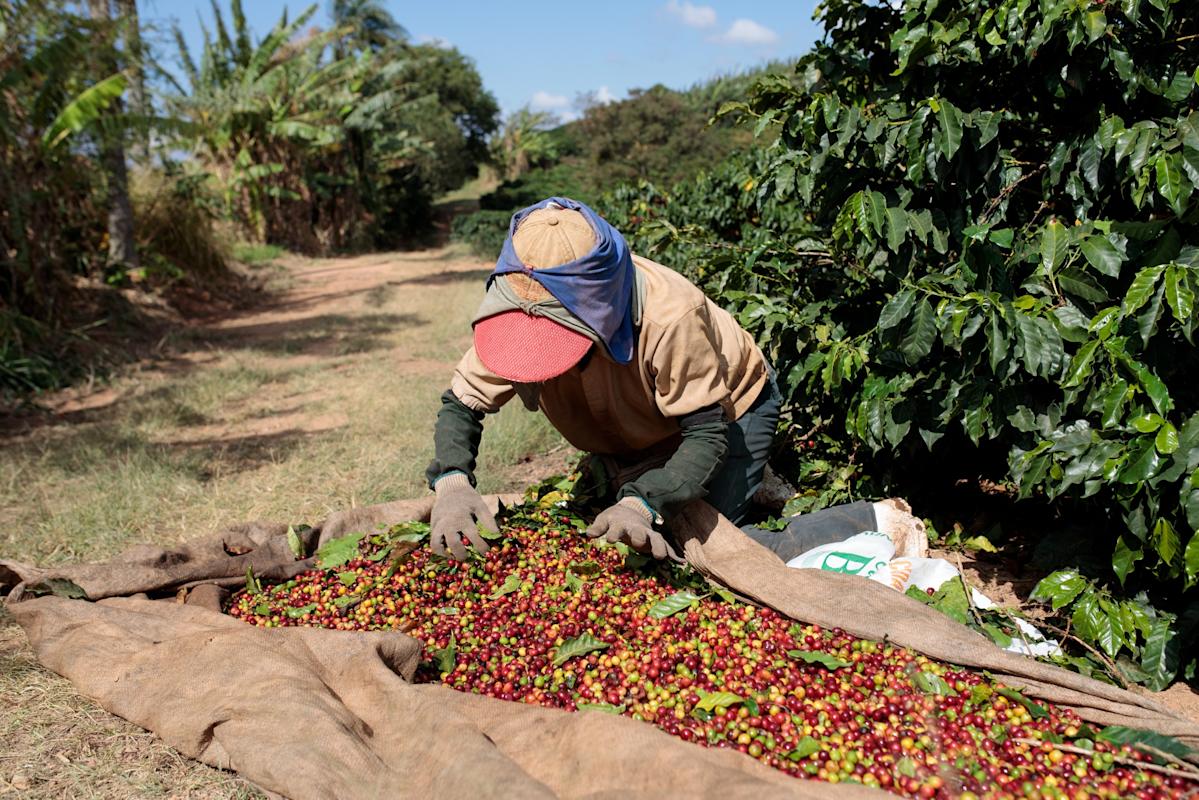 <br />
<b>Warning</b>:  Undefined variable $myimgalt in <b>/www/wwwroot/awdailynews.cn/wp-content/themes/ennews001/single.php</b> on line <b>213</b><br />
