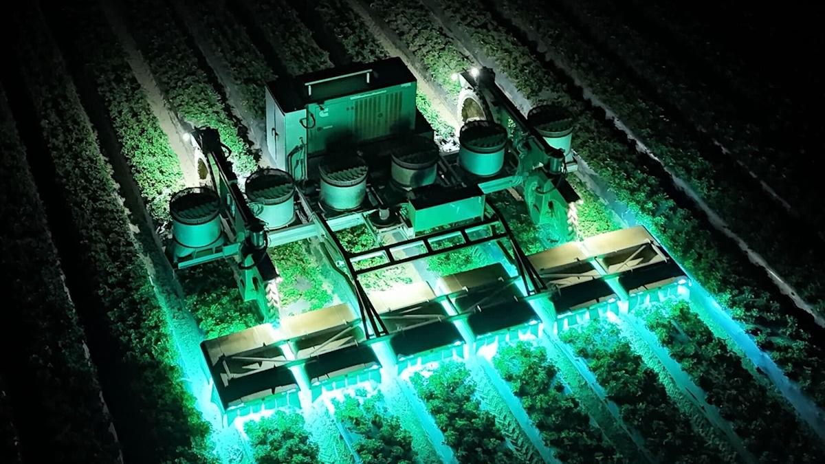 <br />
<b>Warning</b>:  Undefined variable $myimgalt in <b>/www/wwwroot/awdailynews.cn/wp-content/themes/ennews001/single.php</b> on line <b>213</b><br />
