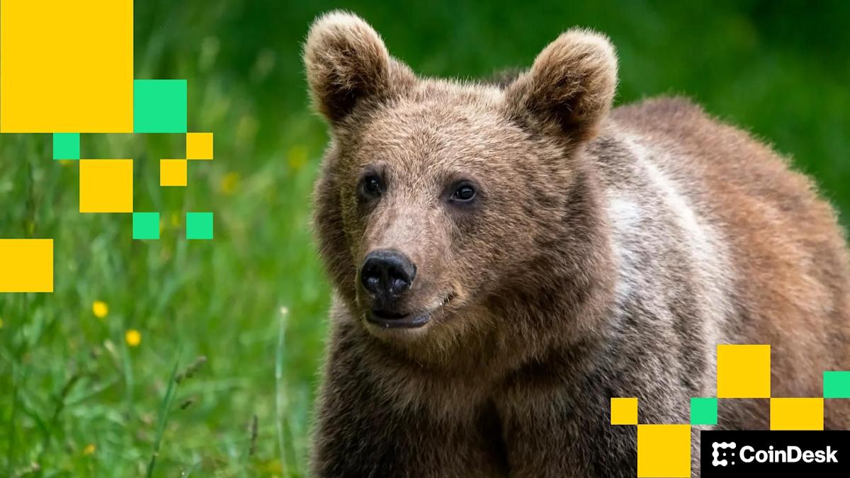 <br />
<b>Warning</b>:  Undefined variable $myimgalt in <b>/www/wwwroot/awdailynews.cn/wp-content/themes/ennews001/single.php</b> on line <b>213</b><br />
