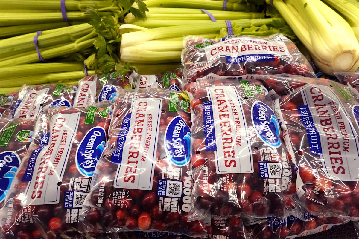 <br />
<b>Warning</b>:  Undefined variable $myimgalt in <b>/www/wwwroot/awdailynews.cn/wp-content/themes/ennews001/single.php</b> on line <b>213</b><br />
