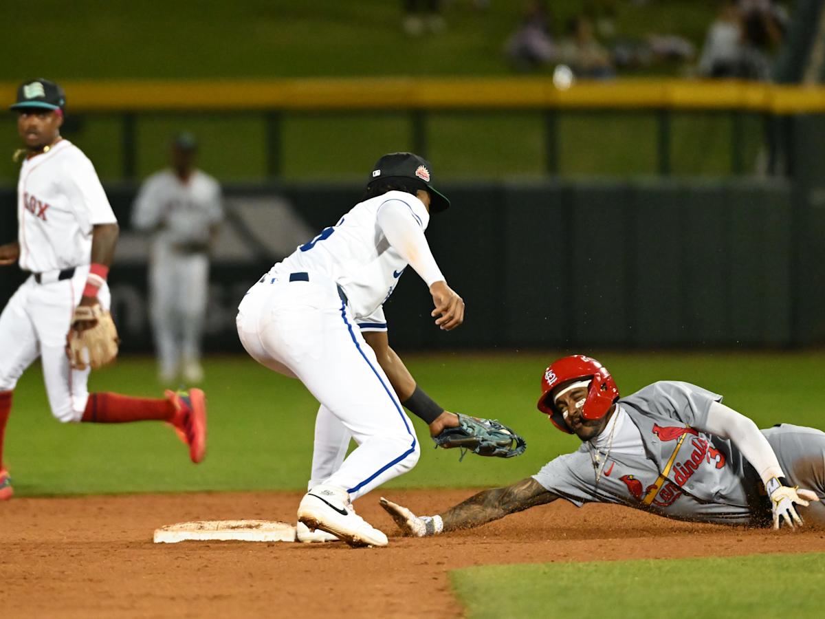 <br />
<b>Warning</b>:  Undefined variable $myimgalt in <b>/www/wwwroot/awdailynews.cn/wp-content/themes/ennews001/single.php</b> on line <b>213</b><br />
