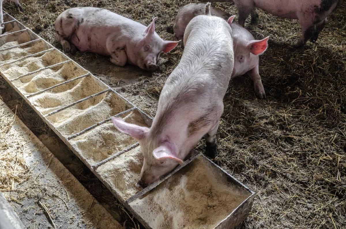 <br />
<b>Warning</b>:  Undefined variable $myimgalt in <b>/www/wwwroot/awdailynews.cn/wp-content/themes/ennews001/single.php</b> on line <b>213</b><br />
