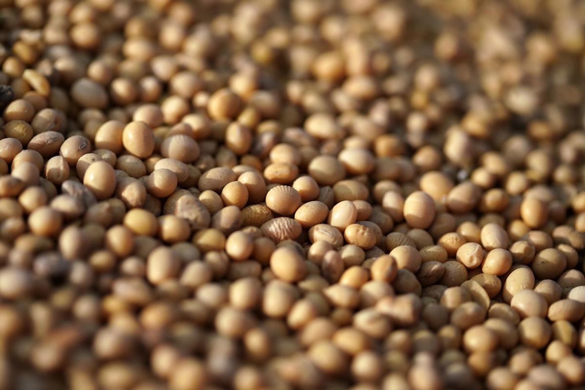 <br />
<b>Warning</b>:  Undefined variable $myimgalt in <b>/www/wwwroot/awdailynews.cn/wp-content/themes/ennews001/single.php</b> on line <b>213</b><br />
