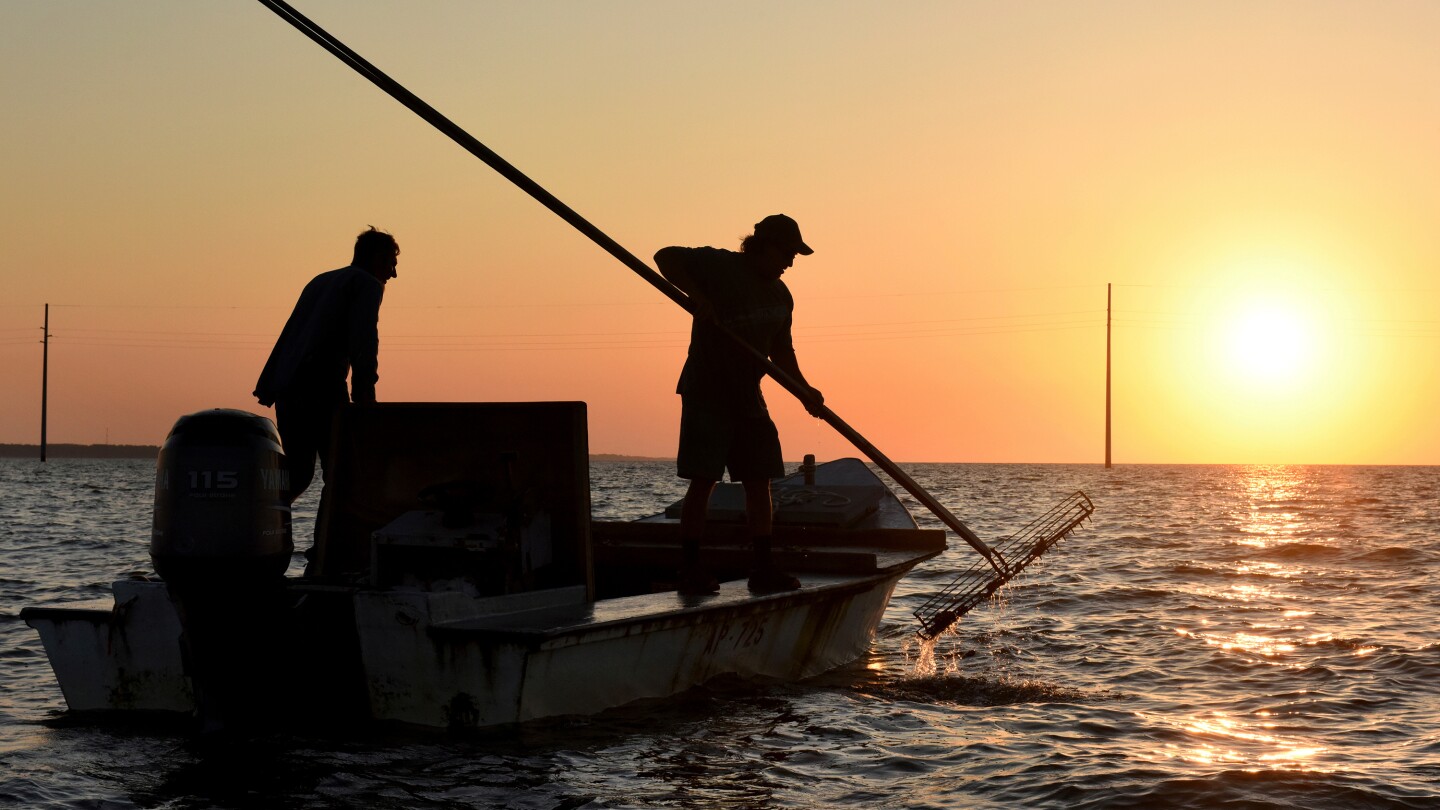 <br />
<b>Warning</b>:  Undefined variable $myimgalt in <b>/www/wwwroot/awdailynews.cn/wp-content/themes/ennews001/single.php</b> on line <b>213</b><br />
