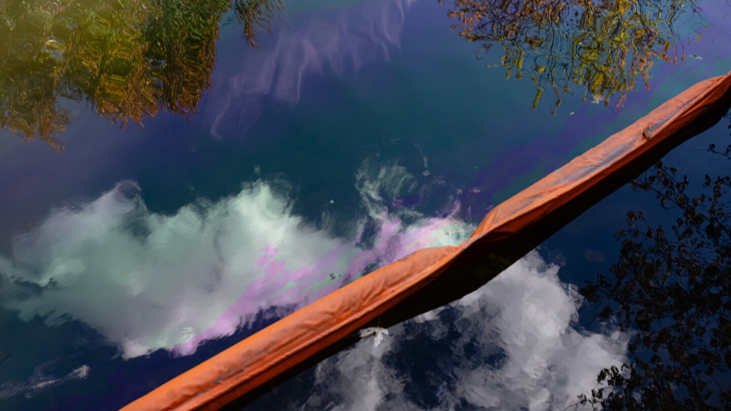 <br />
<b>Warning</b>:  Undefined variable $myimgalt in <b>/www/wwwroot/awdailynews.cn/wp-content/themes/ennews001/single.php</b> on line <b>213</b><br />
