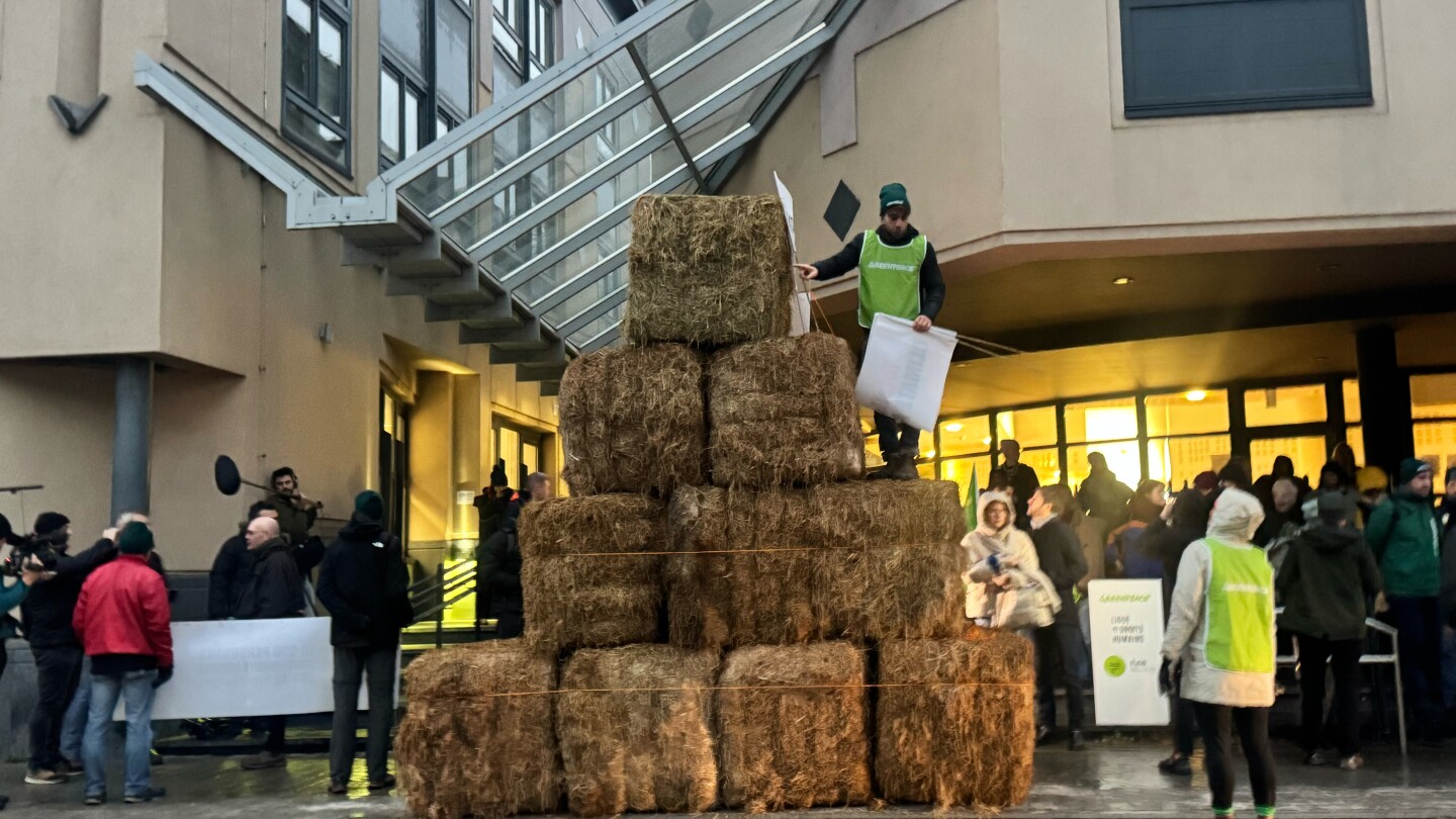 <br />
<b>Warning</b>:  Undefined variable $myimgalt in <b>/www/wwwroot/awdailynews.cn/wp-content/themes/ennews001/single.php</b> on line <b>213</b><br />
