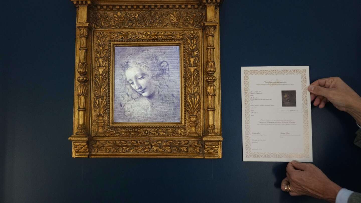 Own a digital copy of Leonardo da Vinci’s ‘Lady with Disheveled Hair’