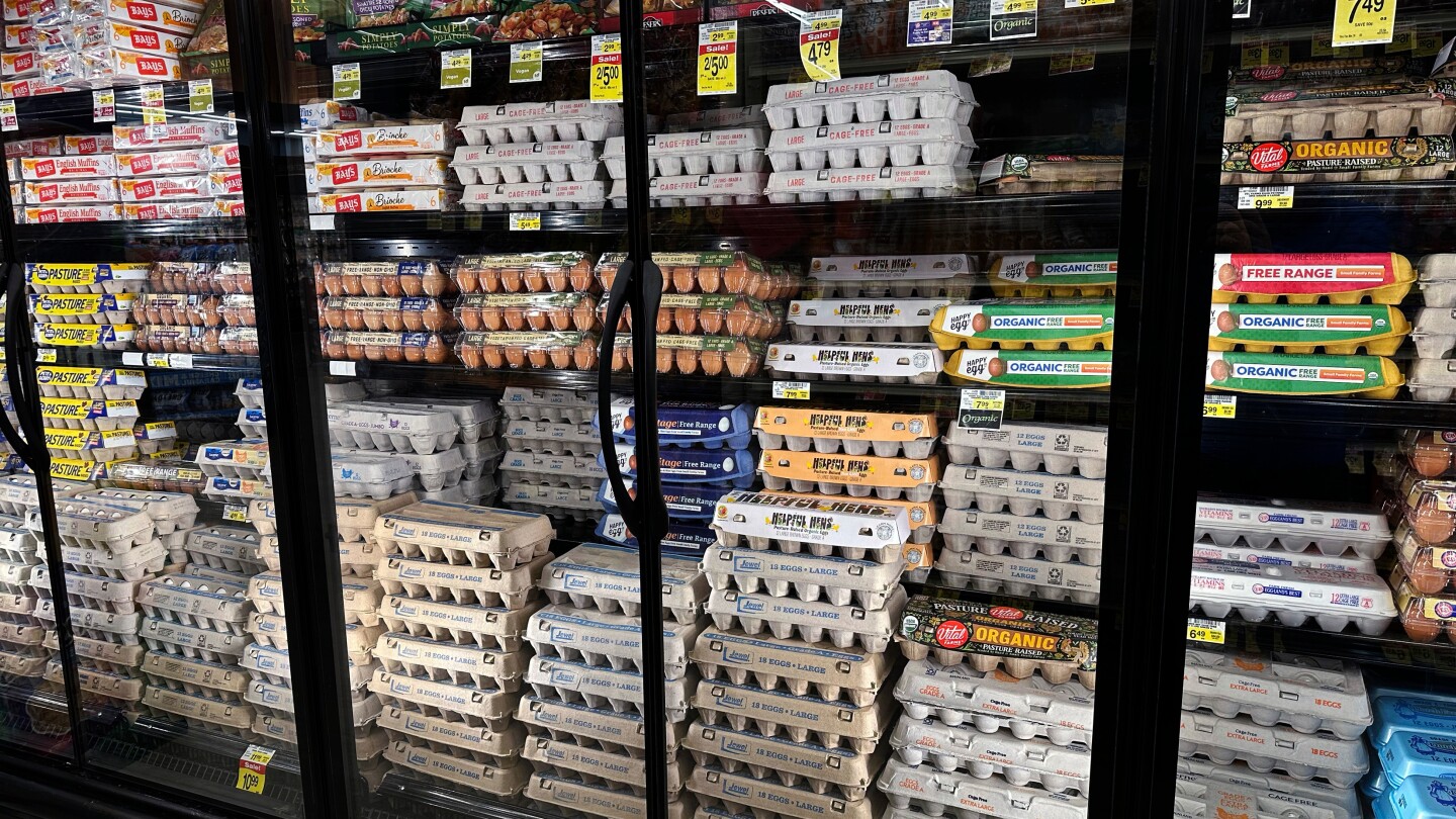 <br />
<b>Warning</b>:  Undefined variable $myimgalt in <b>/www/wwwroot/awdailynews.cn/wp-content/themes/ennews001/single.php</b> on line <b>213</b><br />
