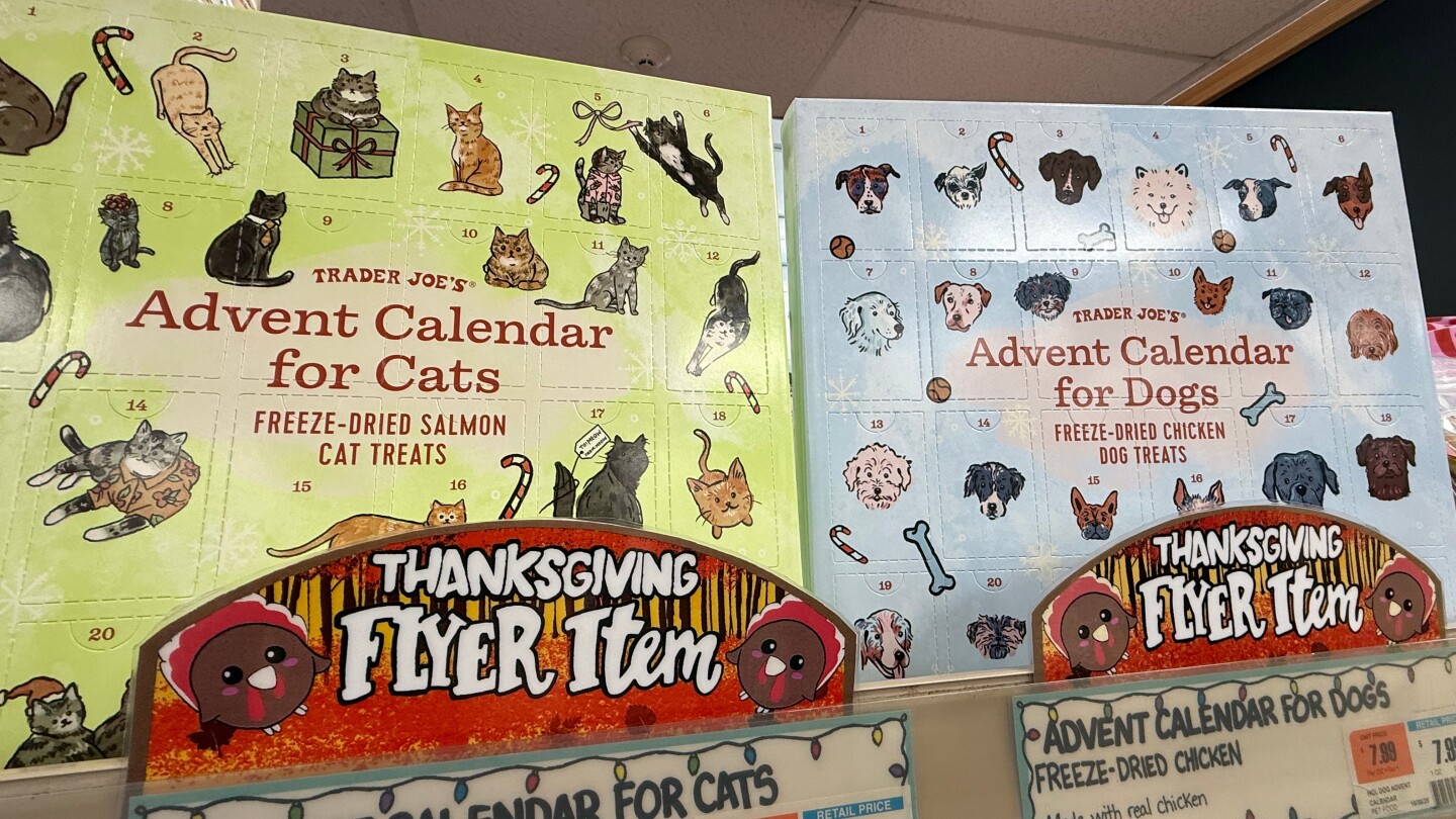 <br />
<b>Warning</b>:  Undefined variable $myimgalt in <b>/www/wwwroot/awdailynews.cn/wp-content/themes/ennews001/single.php</b> on line <b>213</b><br />
