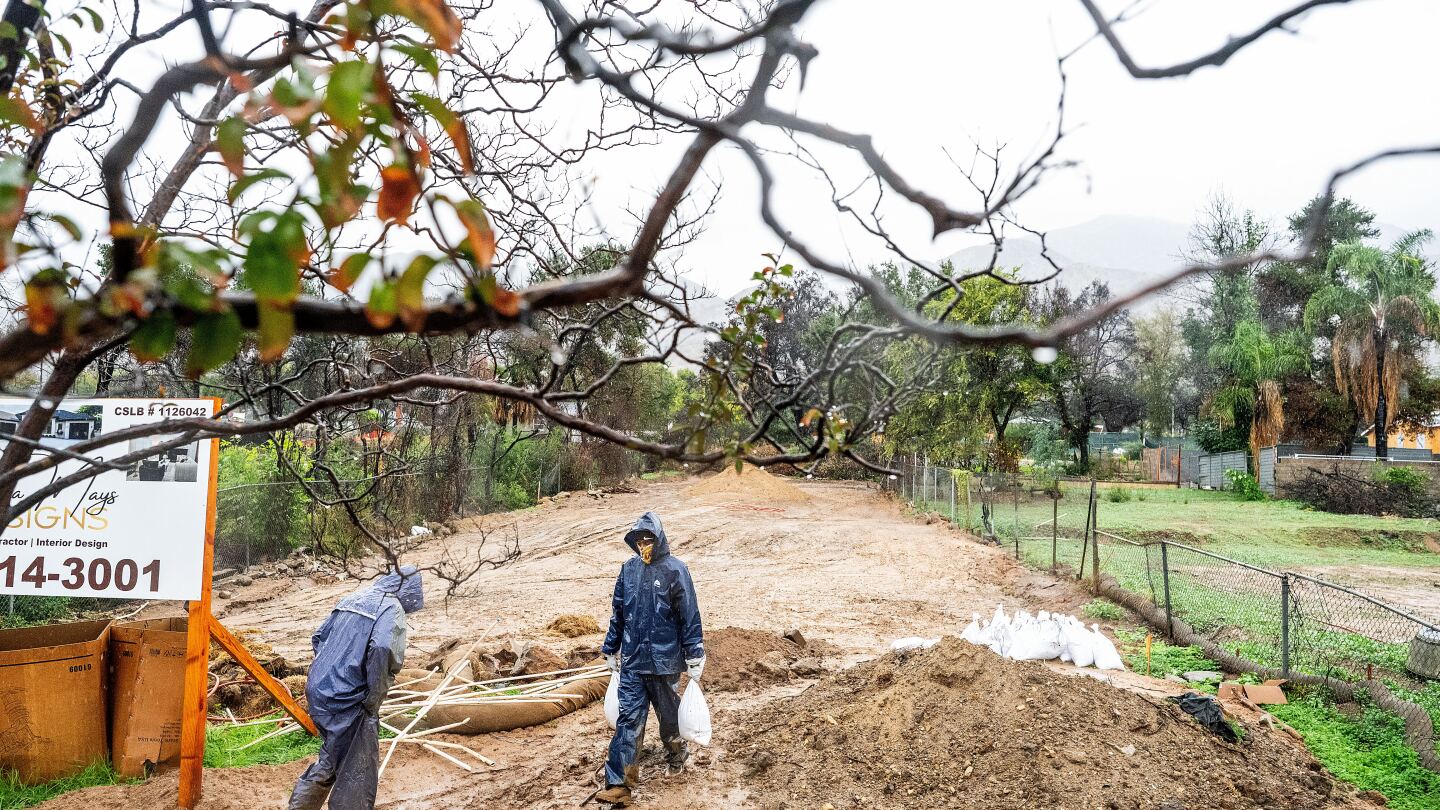 <br />
<b>Warning</b>:  Undefined variable $myimgalt in <b>/www/wwwroot/awdailynews.cn/wp-content/themes/ennews001/single.php</b> on line <b>213</b><br />
