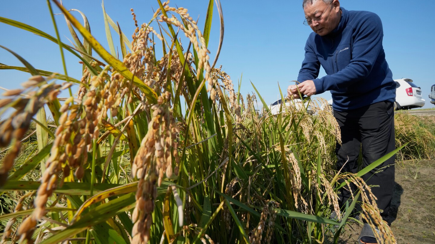 <br />
<b>Warning</b>:  Undefined variable $myimgalt in <b>/www/wwwroot/awdailynews.cn/wp-content/themes/ennews001/single.php</b> on line <b>213</b><br />
