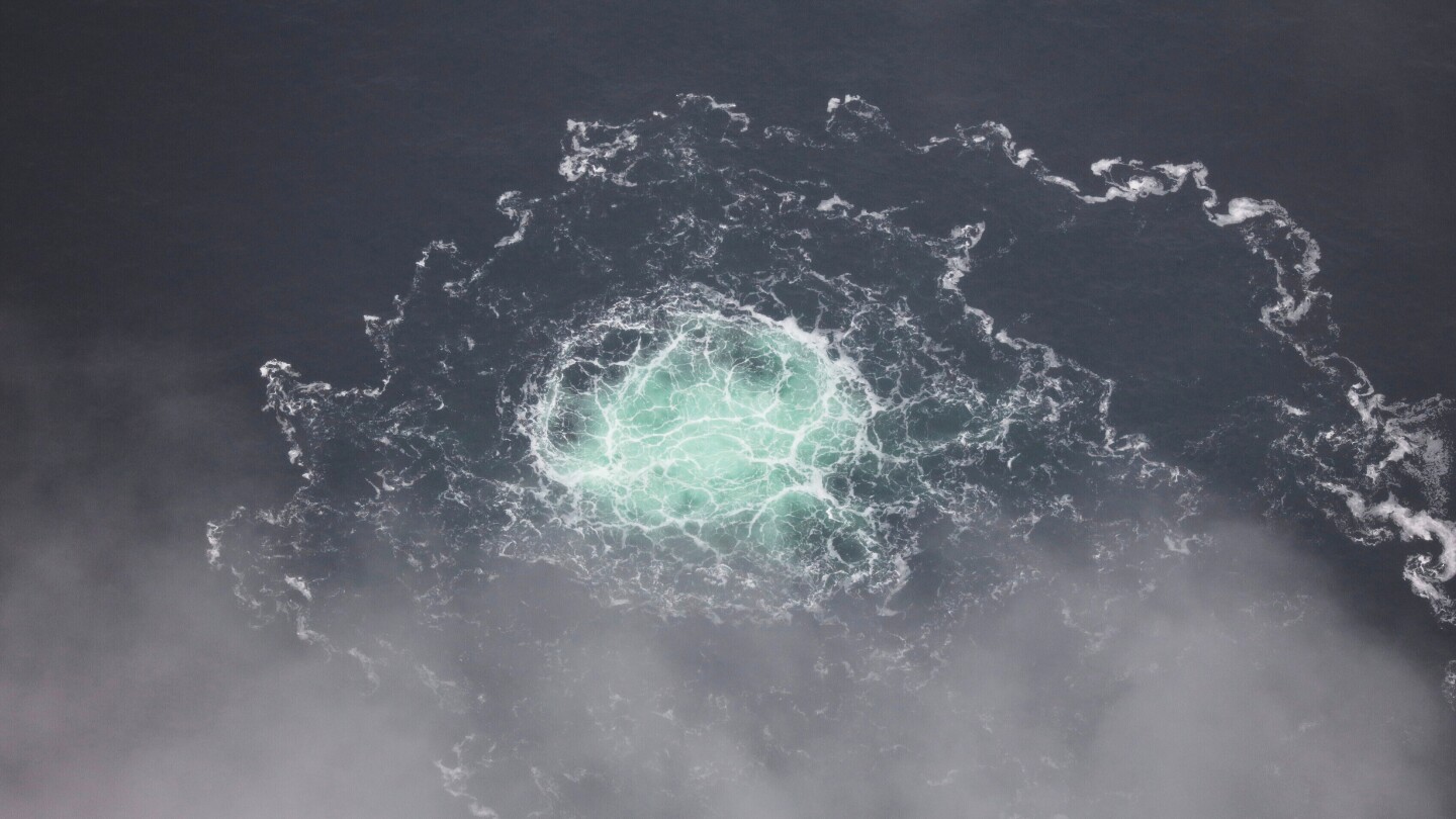 <br />
<b>Warning</b>:  Undefined variable $myimgalt in <b>/www/wwwroot/awdailynews.cn/wp-content/themes/ennews001/single.php</b> on line <b>213</b><br />
