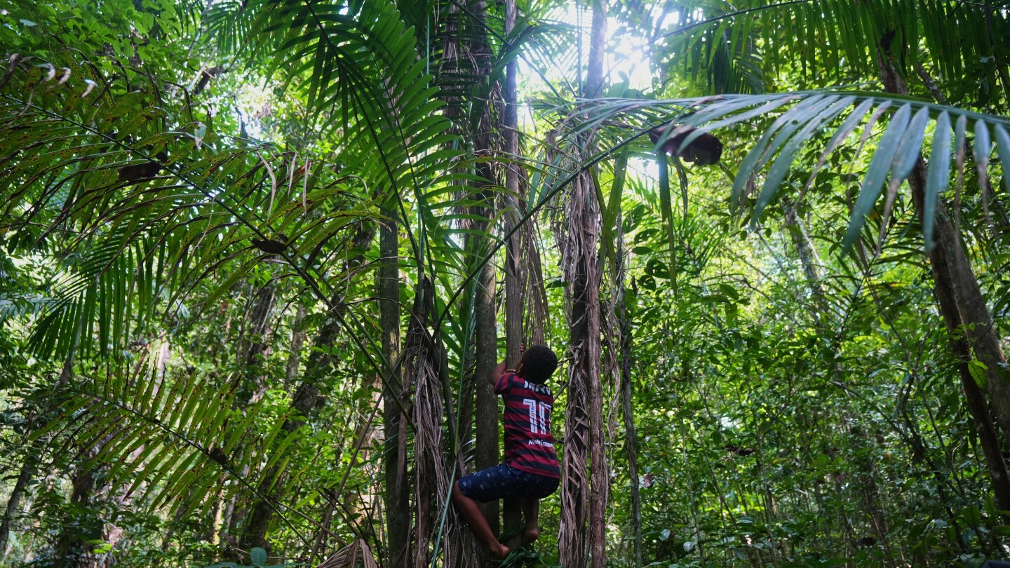 <br />
<b>Warning</b>:  Undefined variable $myimgalt in <b>/www/wwwroot/awdailynews.cn/wp-content/themes/ennews001/single.php</b> on line <b>213</b><br />
