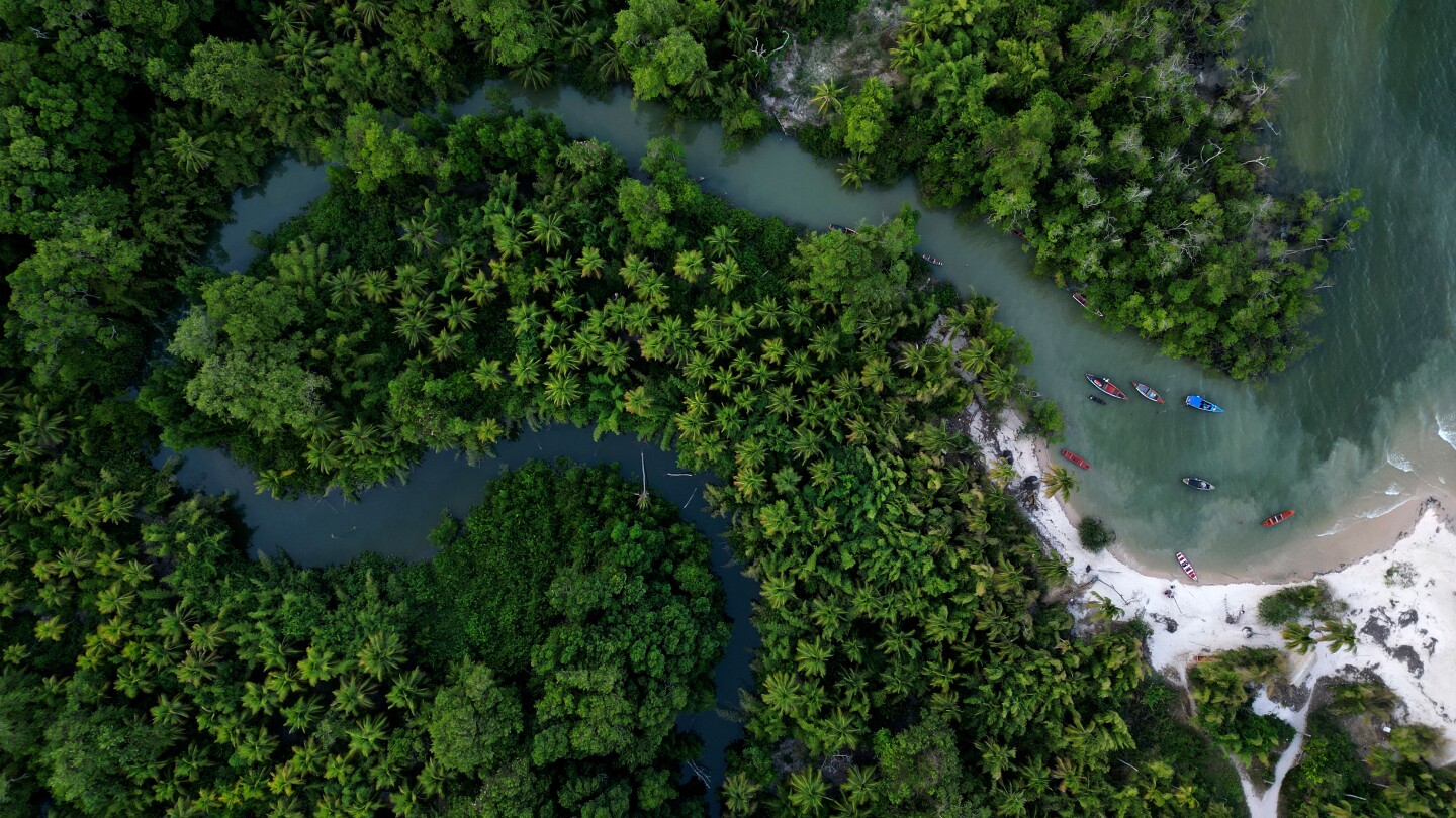 <br />
<b>Warning</b>:  Undefined variable $myimgalt in <b>/www/wwwroot/awdailynews.cn/wp-content/themes/ennews001/single.php</b> on line <b>213</b><br />
