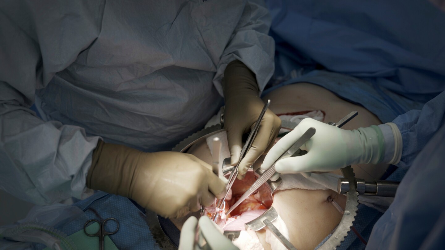 <br />
<b>Warning</b>:  Undefined variable $myimgalt in <b>/www/wwwroot/awdailynews.cn/wp-content/themes/ennews001/single.php</b> on line <b>213</b><br />
