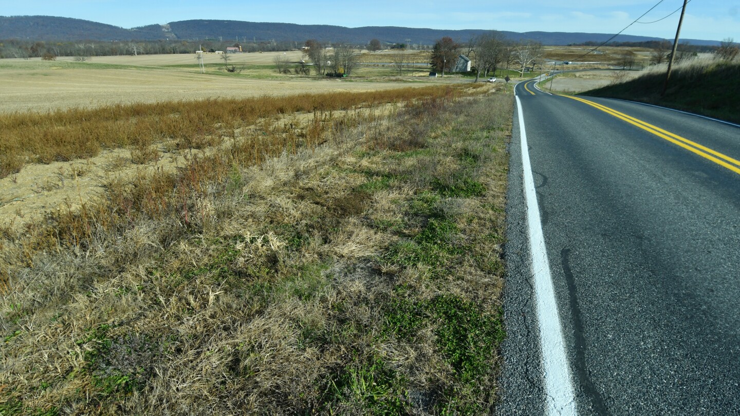 <br />
<b>Warning</b>:  Undefined variable $myimgalt in <b>/www/wwwroot/awdailynews.cn/wp-content/themes/ennews001/single.php</b> on line <b>213</b><br />
