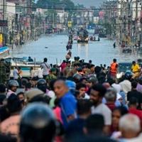 <br />
<b>Warning</b>:  Undefined variable $myimgalt in <b>/www/wwwroot/awdailynews.cn/wp-content/themes/ennews001/single.php</b> on line <b>213</b><br />
