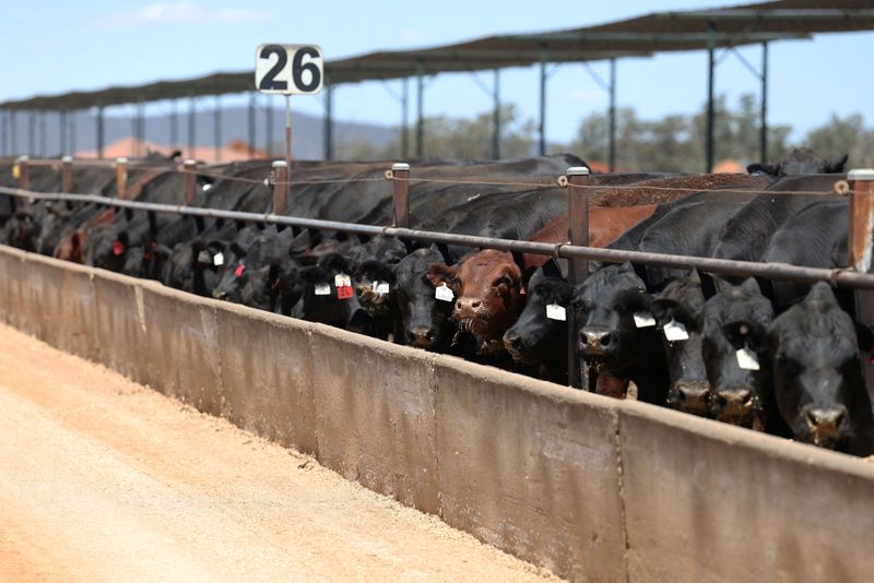 <br />
<b>Warning</b>:  Undefined variable $myimgalt in <b>/www/wwwroot/awdailynews.cn/wp-content/themes/ennews001/single.php</b> on line <b>213</b><br />
