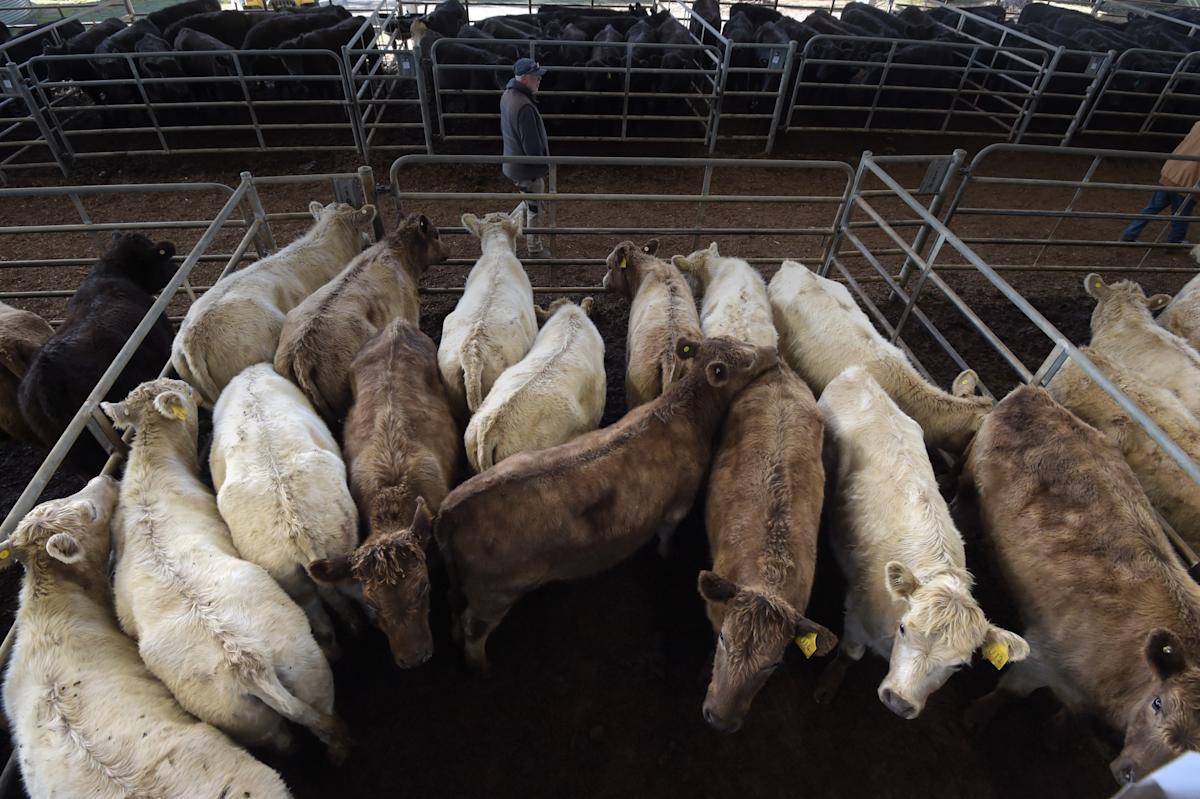 <br />
<b>Warning</b>:  Undefined variable $myimgalt in <b>/www/wwwroot/awdailynews.cn/wp-content/themes/ennews001/single.php</b> on line <b>213</b><br />
