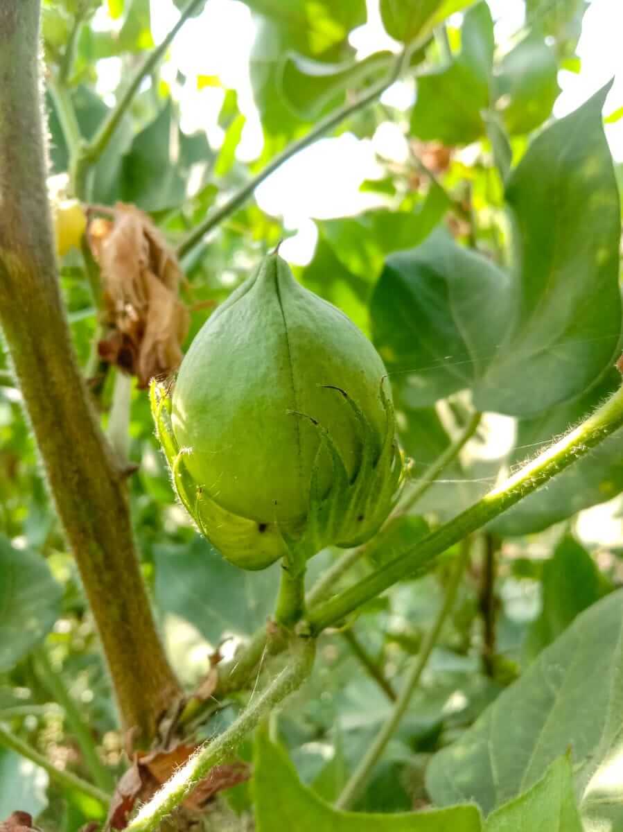 <br />
<b>Warning</b>:  Undefined variable $myimgalt in <b>/www/wwwroot/awdailynews.cn/wp-content/themes/ennews001/single.php</b> on line <b>213</b><br />
